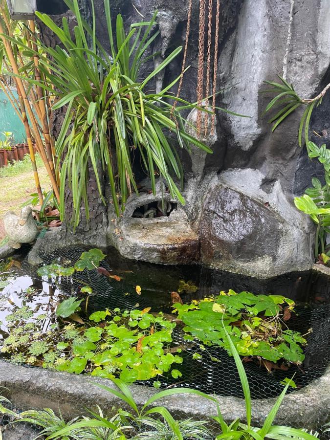 Rock Cascade Tourist & Cookery School 3* Polonnaruwa